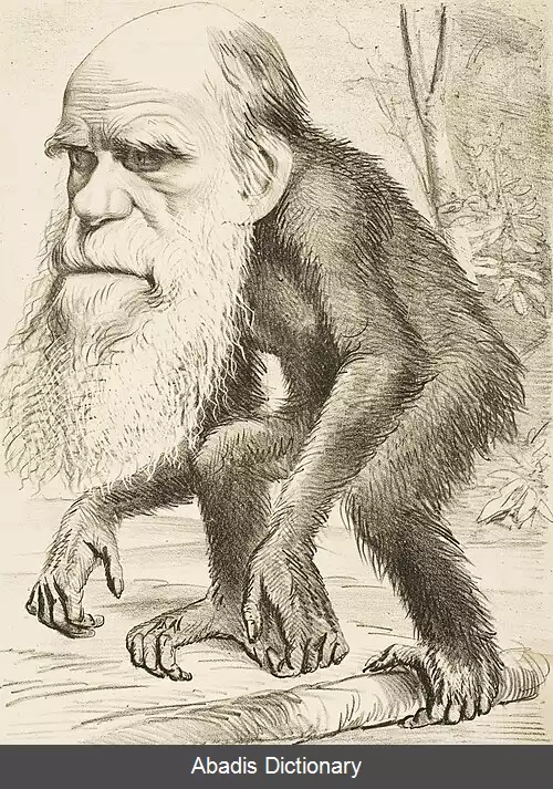 عکس داروینیسم