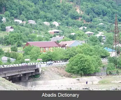 عکس بوریتی