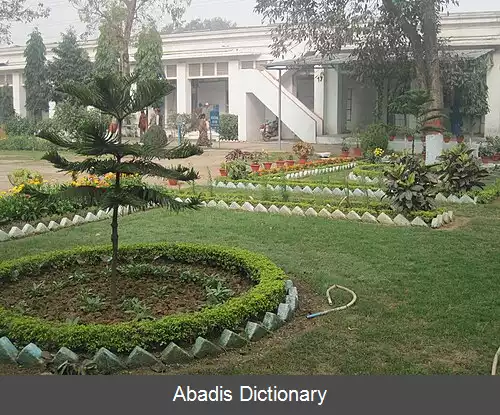 عکس داناپور بیهار