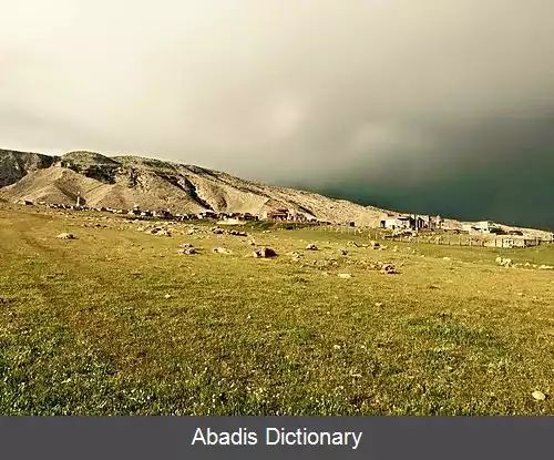 عکس بوزان عراق