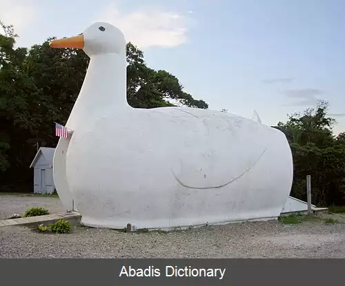 عکس فلندرز نیویورک