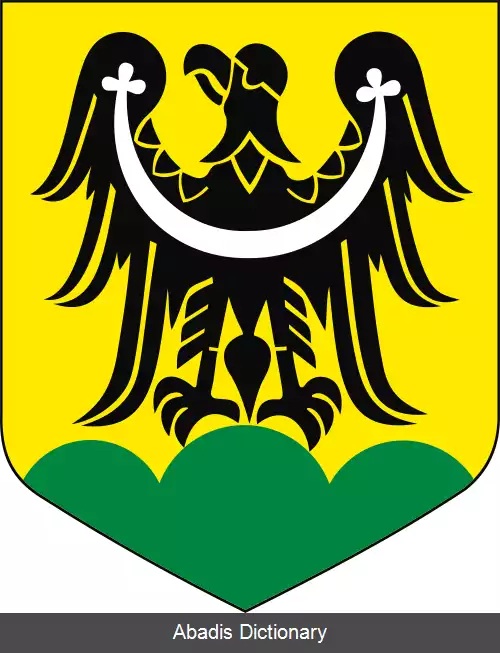 عکس زووتوریا