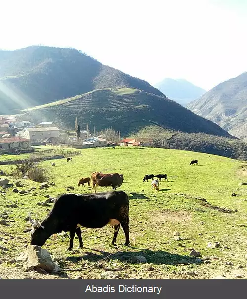 عکس شیردره (سوادکوه)