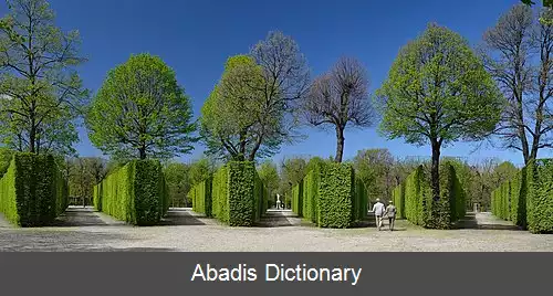 عکس دیواره سبز