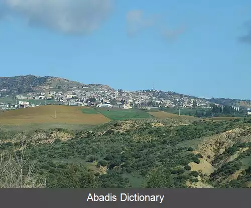 عکس ذراع سمار