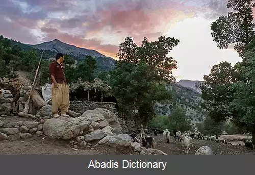 عکس بی آبه