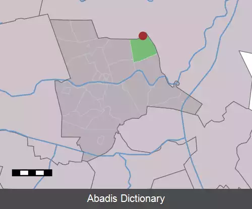 عکس استیخرفلد