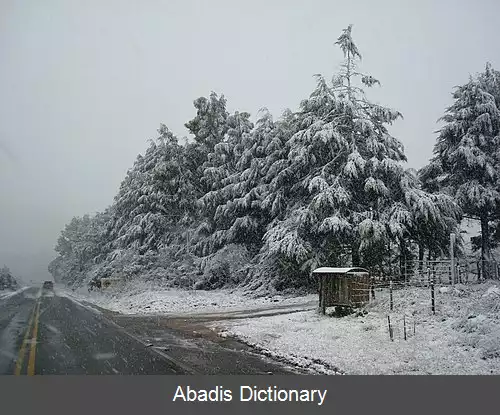 عکس بوم ژاردیم دا سرا