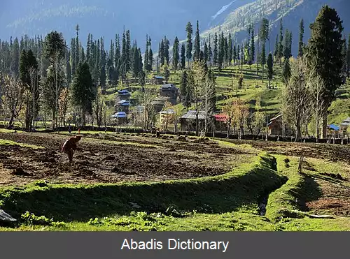 عکس آرنگ خیل