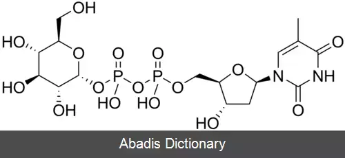 عکس تیمیدین دی فسفات گلوکز