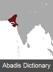 عکس خارپشت هندی