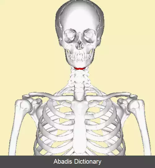 عکس استخوان لامی