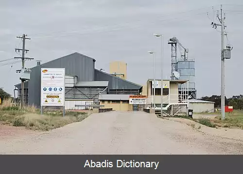 عکس ویل بریگی نیوساوت ولز