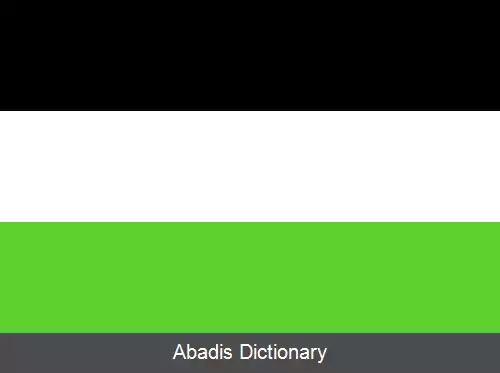 عکس است بورخ