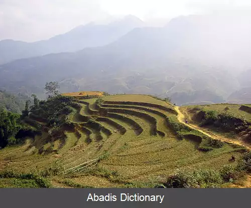 عکس انسان ساخت