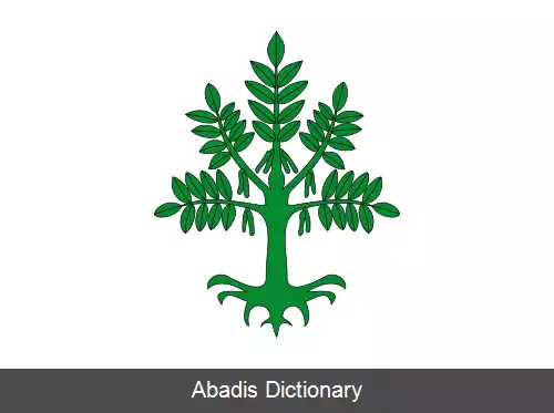 عکس فلیکس اسپانیا