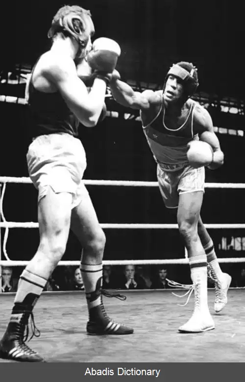 عکس فلیکس ساوون