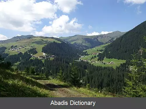عکس دامولس