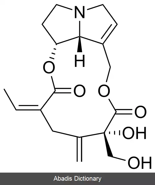 عکس ریدلین