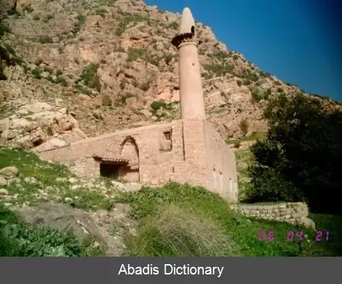 عکس ریژآو