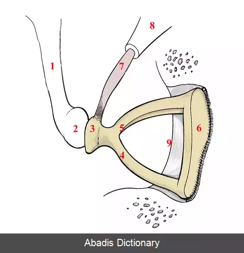 عکس استاپدکتومی