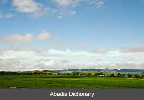 عکس فلات جاواکتی