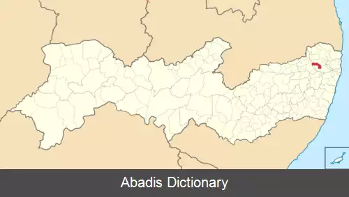 عکس کارپینا