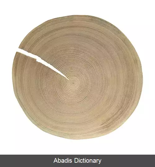 عکس کاج سوئیسی