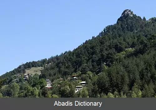 عکس چول لو اوشاغی (کوزان)