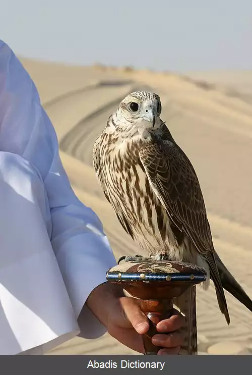 عکس پیوند پر