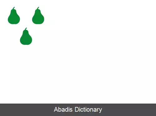 عکس کایدتنس