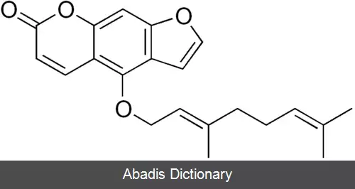 عکس برگاموتین