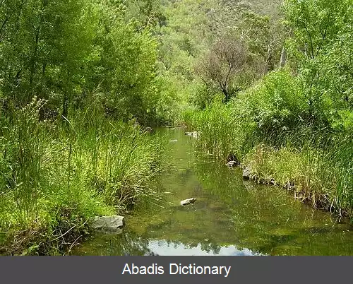 عکس اتل استون استرالیای جنوبی