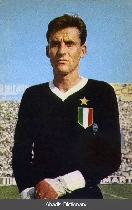 عکس روبرتو آنزولین