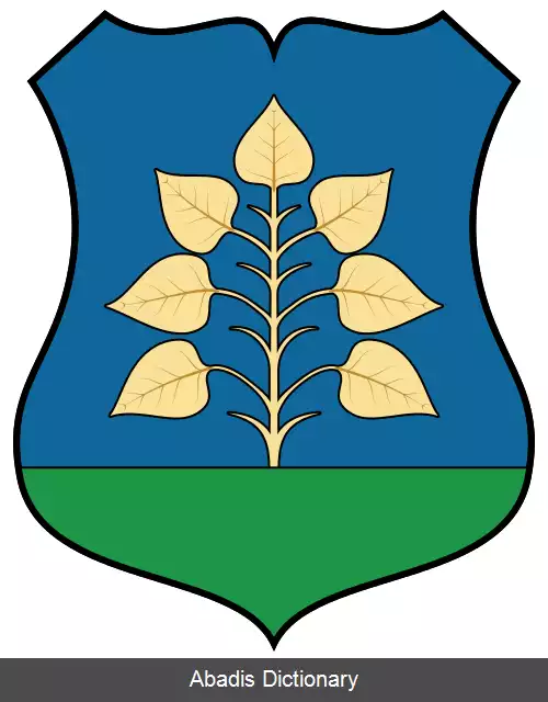عکس چانادآلبرتی