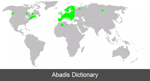 عکس عنکبوت گردباف آتریکا