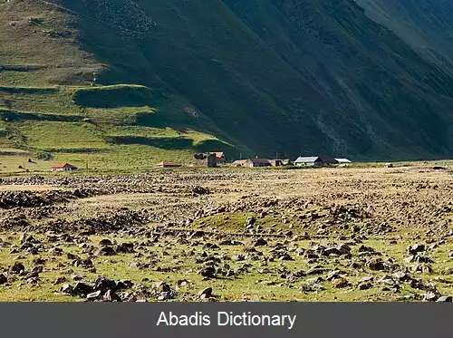 عکس زمو اوکروکانا