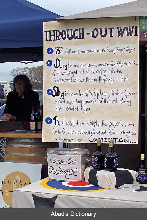 عکس فرودگاه هود