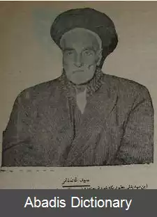 عکس سید غضنفر وزیری