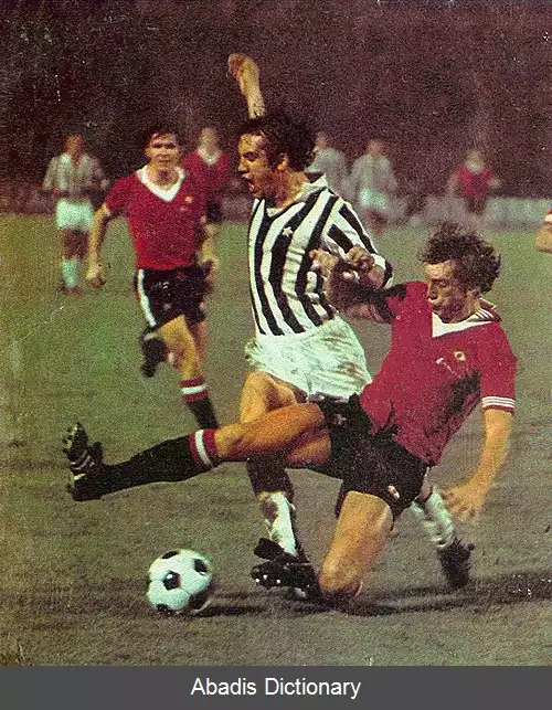 عکس استوارت هاستون