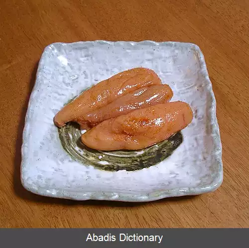 عکس منتایکو