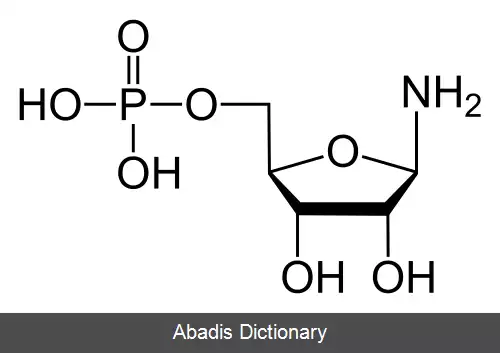عکس فسفوریبوزیل آمین