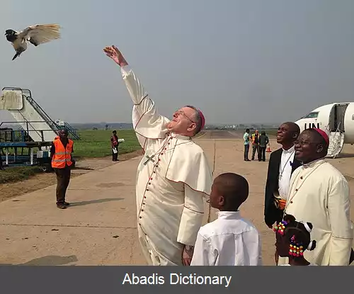 عکس فرودگاه کنانگا