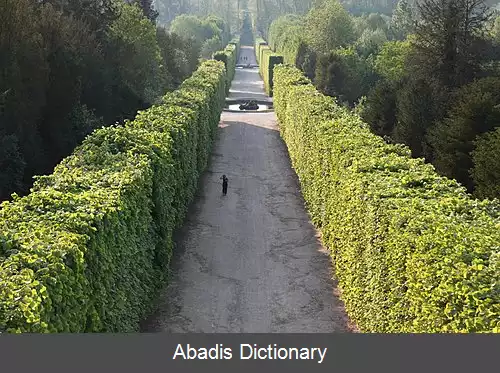 عکس دیواره سبز