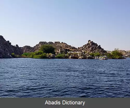 عکس آباتوس