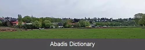 عکس برکرسهایم