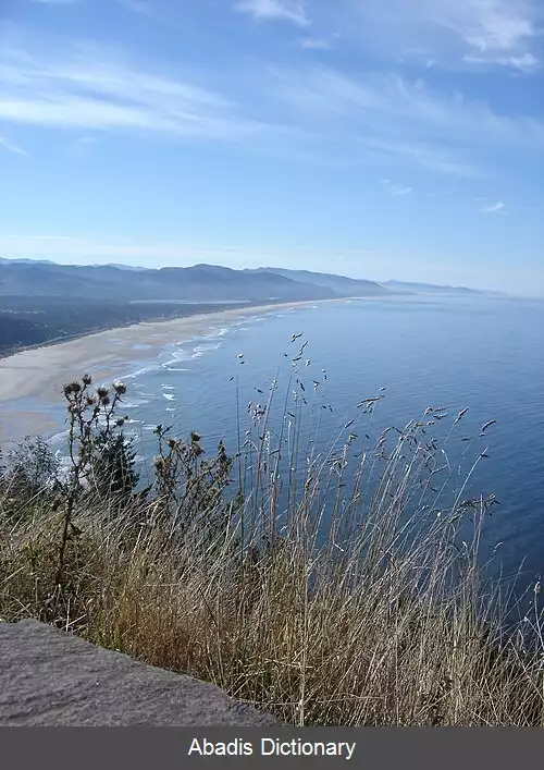 عکس منزنیتا اورگن