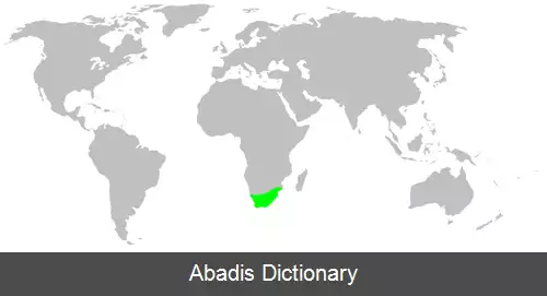 عکس عنکبوت های سخت لاک