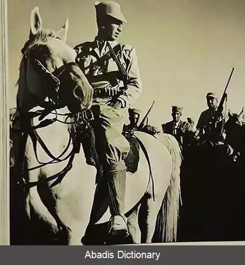 عکس ملک منصور قشقایی