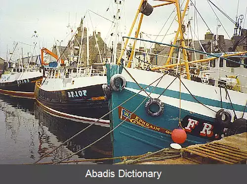 عکس فریزربرگ